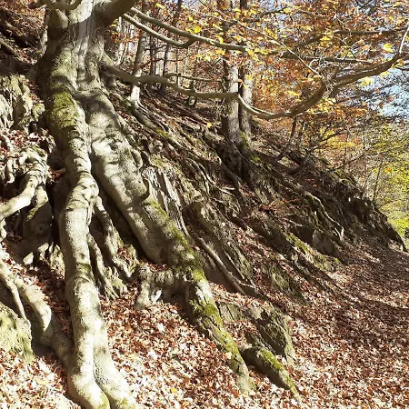 Apartament Au Temps De Le 7