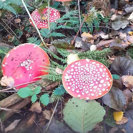 Au Temps De Le 7 Apartament Spa