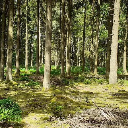 Au Temps De Le 7 Apartament Spa