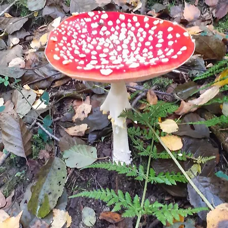 Au Temps De Le 7 Apartament