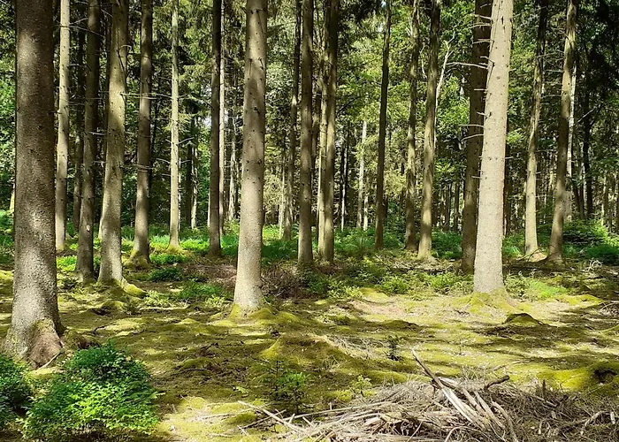 Au Temps De Le 7 Διαμέρισμα Σπα