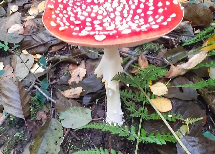 Au Temps De Le 7 Διαμέρισμα